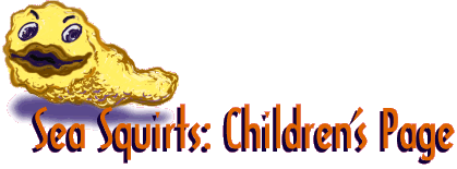 What is a Sea Squirt?