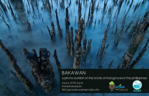 Bakawan- a Photo Exhibit on the state of mangroves in the Philippines