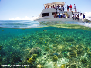 Celebrating Saving Philippine Reefs 25th Year in Calamianes Islands, Palawan