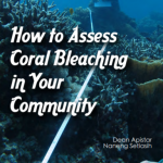 How to Assess Coral Bleaching in Your Community