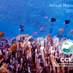 CCEF Annual Report 2016