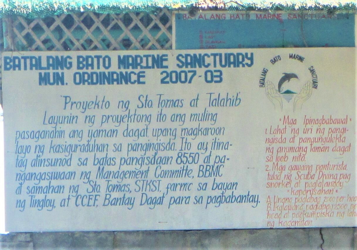 Batalang Bato Marine Sanctuary, Anilao, Batangas is fully protected