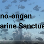 Binoongan Marine Sanctuary