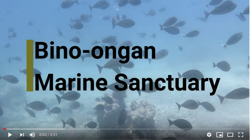 Binoongan Marine Sanctuary