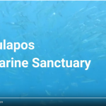Tulapos Marine Sanctuary