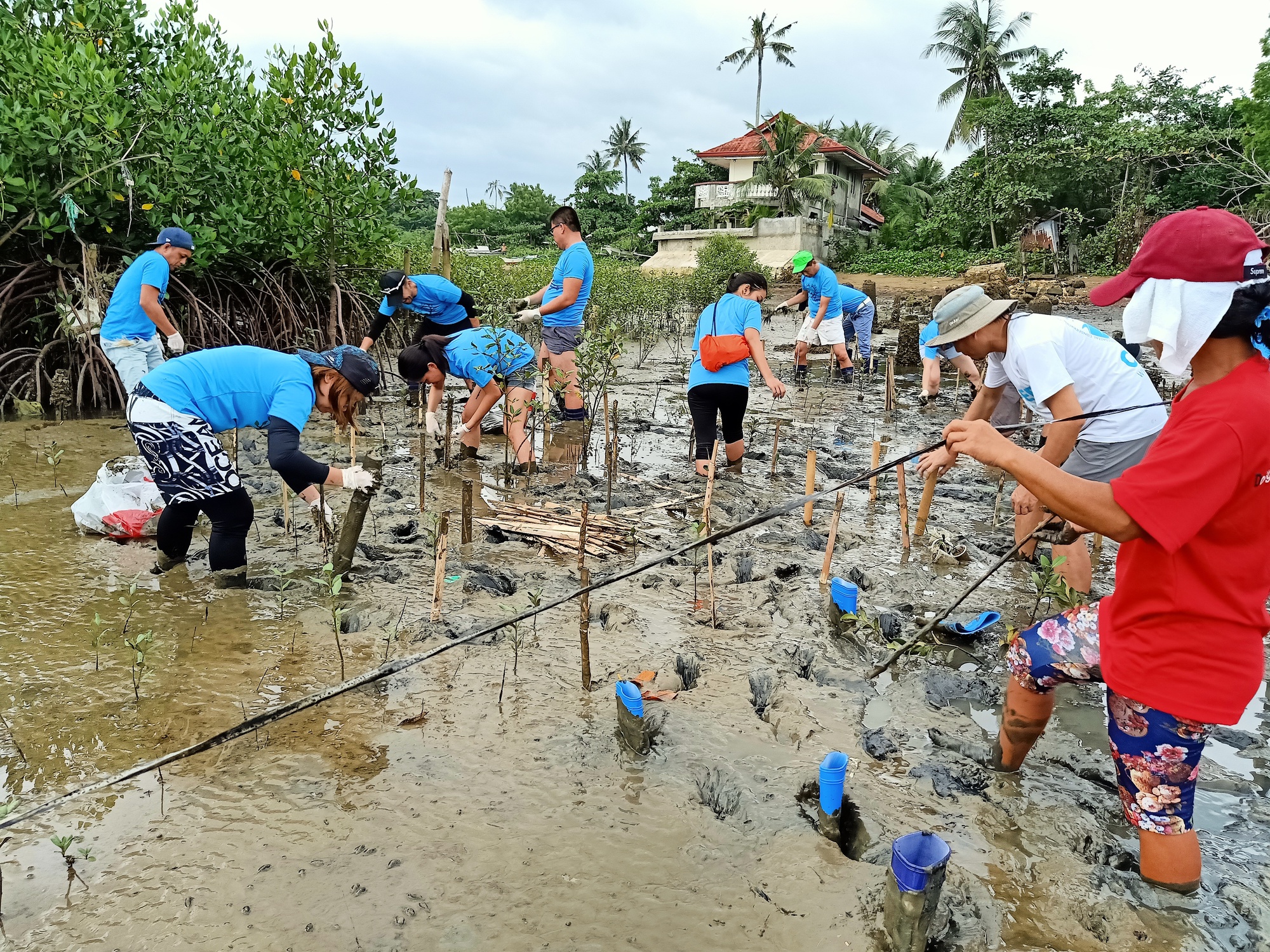 Mangrove on the Move on National Environmental Month