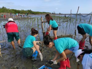 Strengthening Coastal Protection in Cotcot Liloan