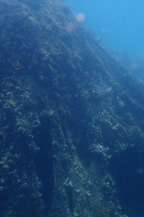 Large Ghost Nets Found Entangled in Coral Reefs at Zaragosa Island, Badian
