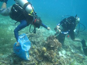 CCEF conducts Simultaneous Underwater Cleanup drives at Southeast Cebu Municipalities