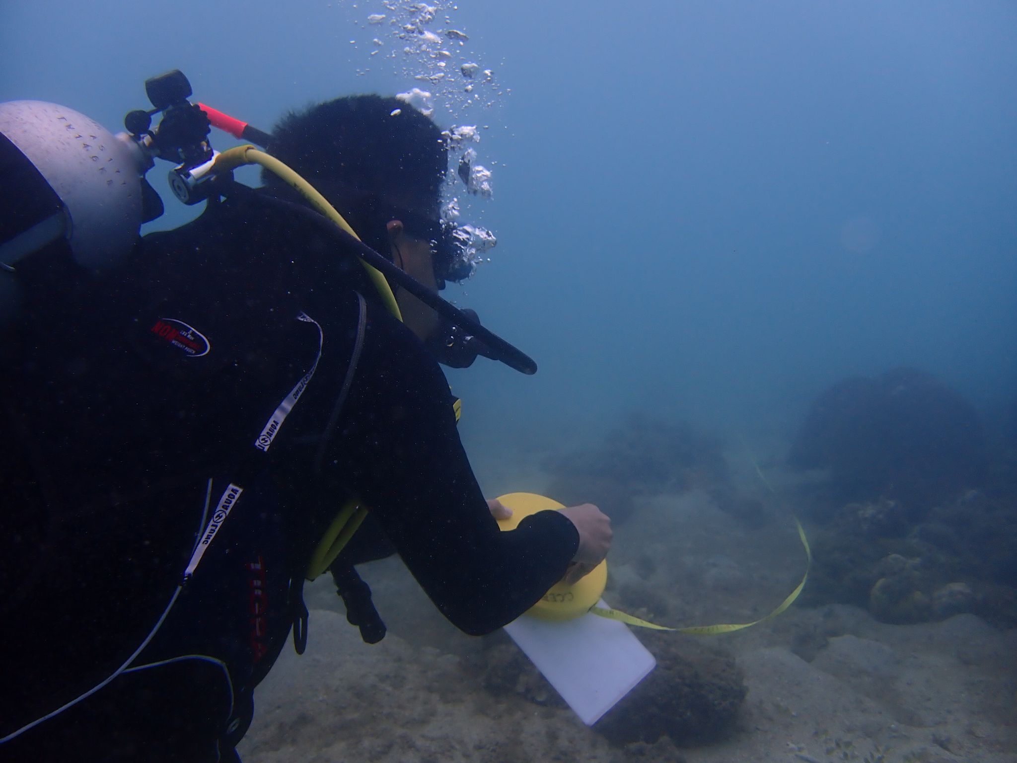 CCEF carried out reef monitoring in all ten MPAs in Argao.