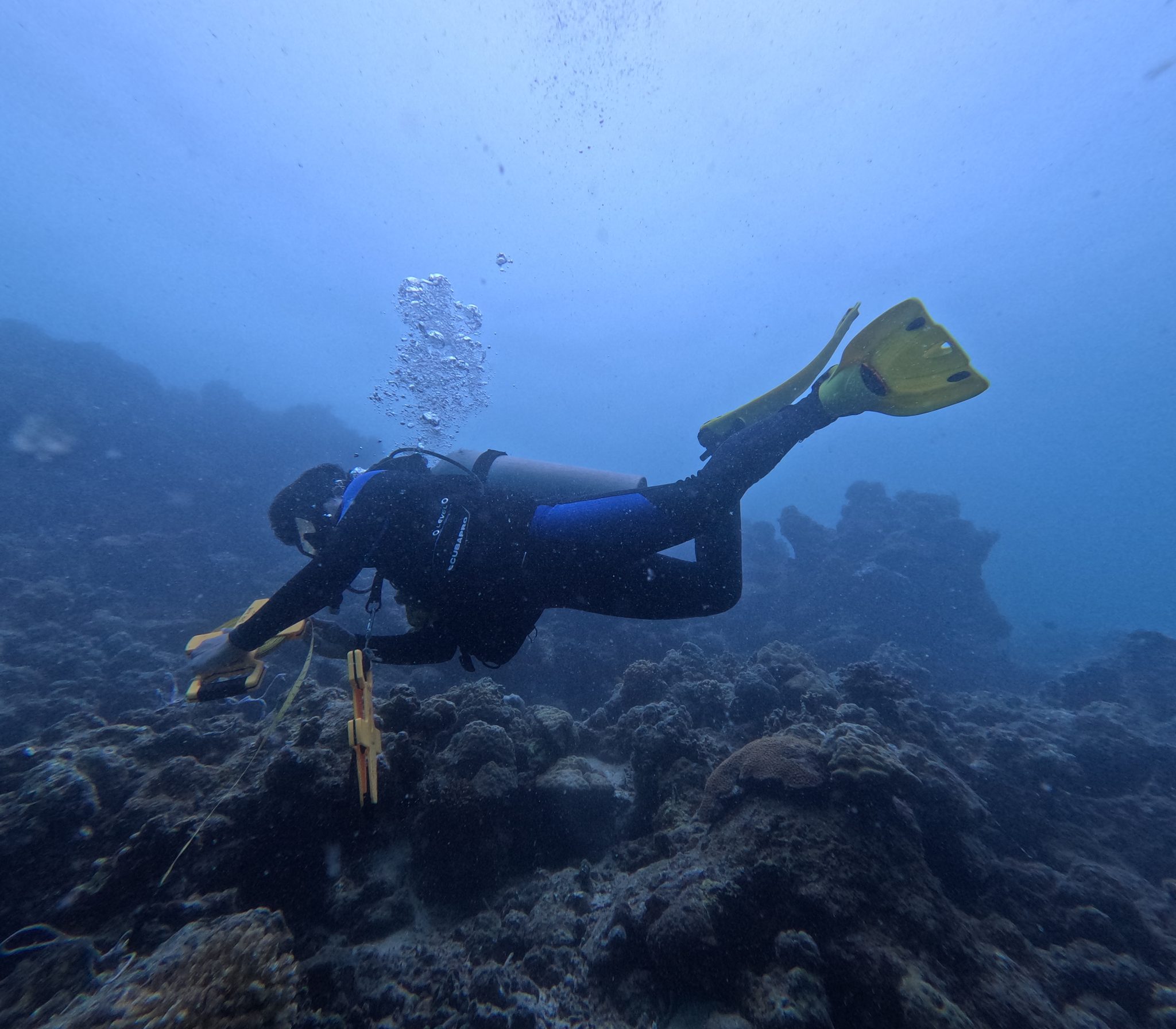 The SEE Conservation project conducted a comprehensive habitat assessment for the Bugas Marine Protected Area