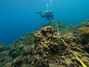 Science in the Hands of Stewards: Coastal LGUs Trained for Resilience Monitoring