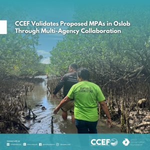 Rooting Resilience: Validating Mangrove Nursery Sites in Badian