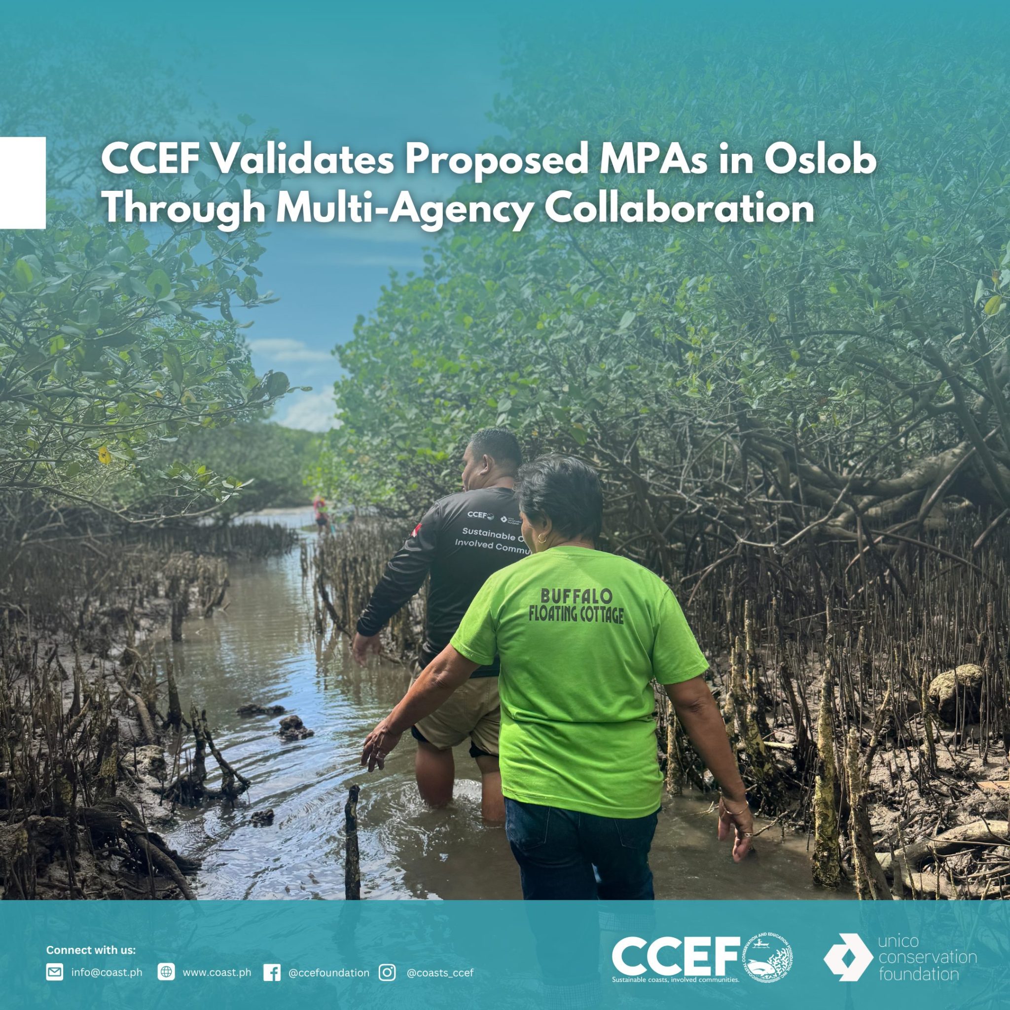 Rooting Resilience: Validating Mangrove Nursery Sites in Badian