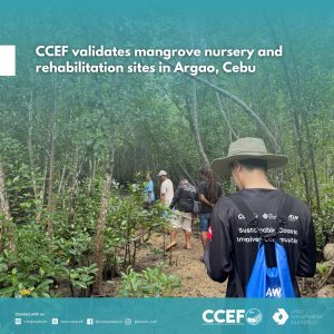 CCEF validates mangrove nursery and rehabilitation sites in Argao, Cebu