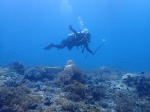 CCEF Validates Proposed MPAs in Oslob Through Multi-Agency Collaboration