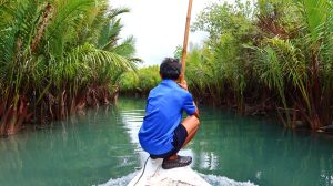 Expanding Ecotourism to Ecosystem Stewardship: CCEF supports BUFFALOO’s mangrove conservation journey