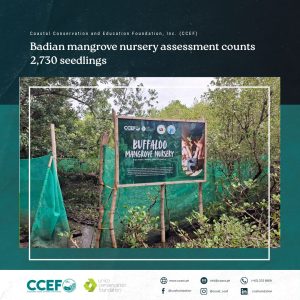 Badian mangrove nursery assessment counts 2,730 seedlings
