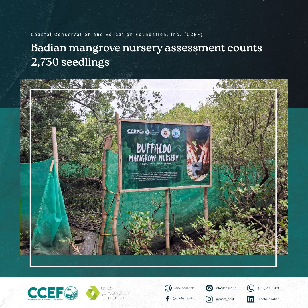 Badian mangrove nursery assessment counts 2,730 seedlings